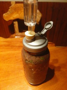 IMG_20160119_2129580_rewind