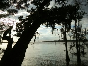 Interactive Edge: Freshwater meets the ocean.